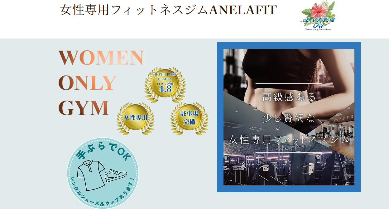 ANELA Fit(ふじみ野市うれし野2丁目)