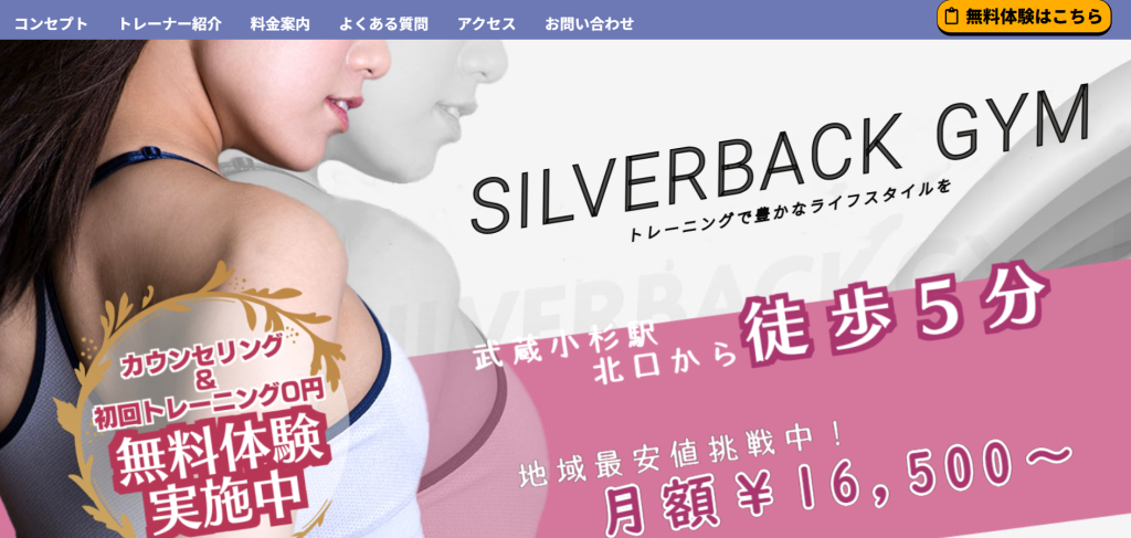 Silver Back 武蔵小杉(中原区新丸子東２丁目)