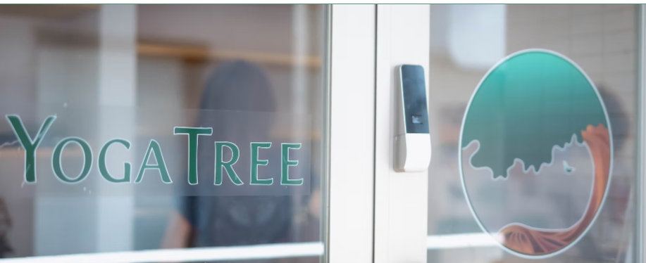 Yoga Tree Daikanyama